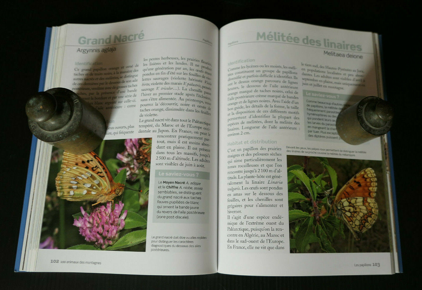 100 ANIMAUX DES MONTAGNES / GUIDE DECOUVERTE FAUNE ESPECES OISEAUX INSECTES 2014