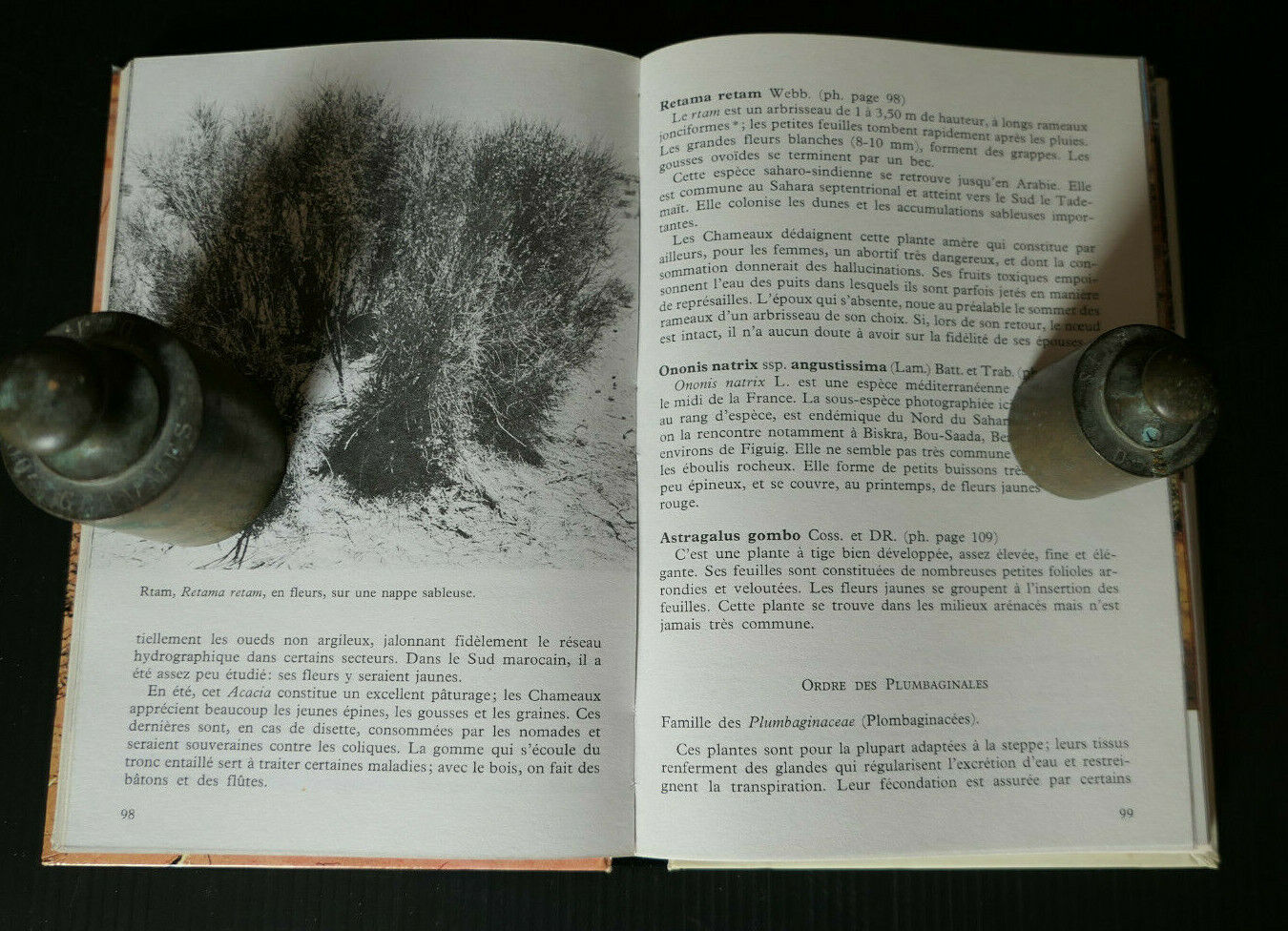 SAHARA MILIEU VIVANT / YVES & MAURICETTE VIAL / AFRIQUE DESERT NATURE ESPECES
