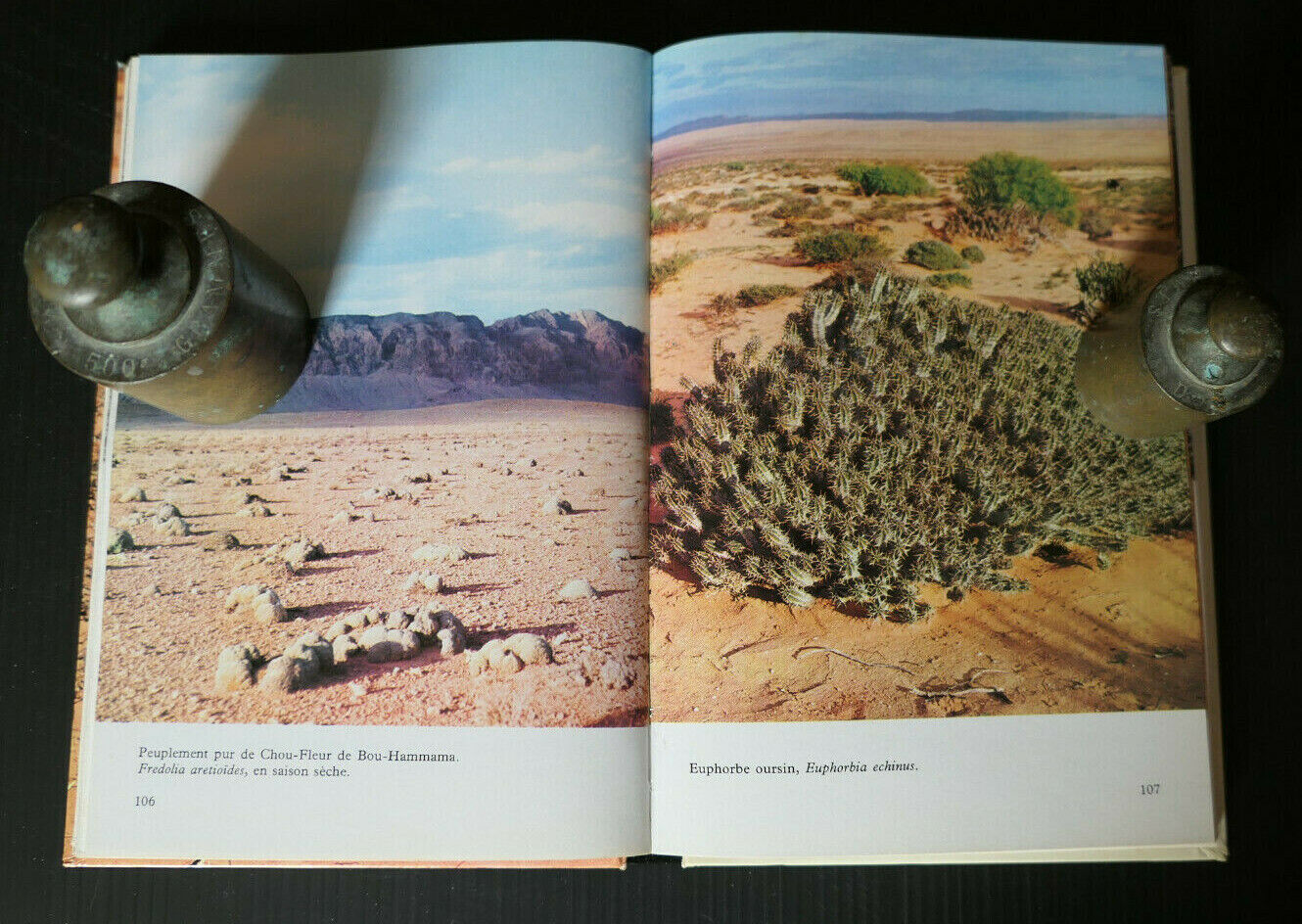 SAHARA MILIEU VIVANT / YVES & MAURICETTE VIAL / AFRIQUE DESERT NATURE ESPECES
