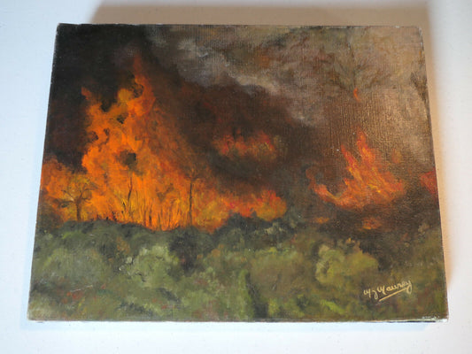 PEINTURE HST FEU DE FORET NATURE FOREST FIRE CATASTROPHIC ORIGINAL ART SIGNED