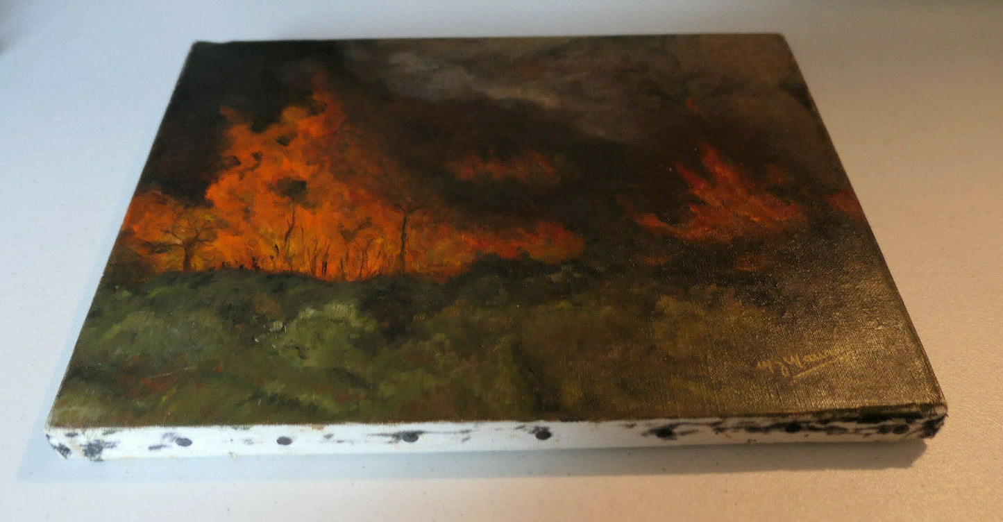 PEINTURE HST FEU DE FORET NATURE FOREST FIRE CATASTROPHIC ORIGINAL ART SIGNED