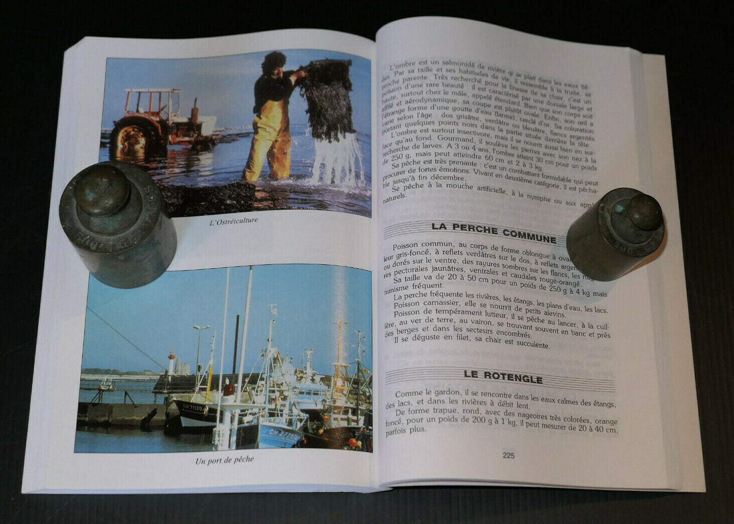 PECHE ET TOURISME EN BASSE NORMANDIE / CHARLES CORLET 1994 / YVON CARBONE