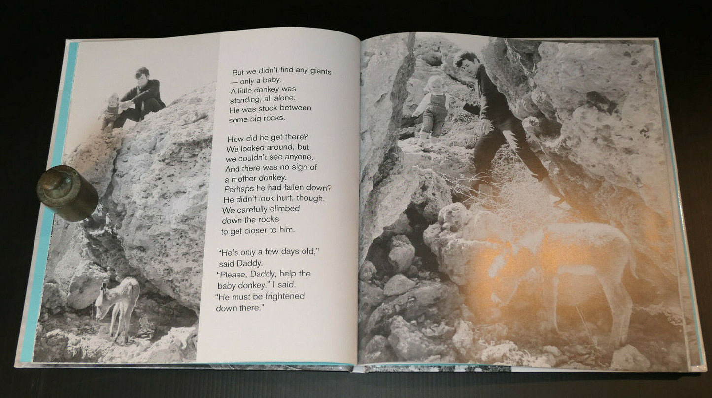 MY DONKEY BENJAMIN / HANS LIMMER & LENNART OSBECK / SCRIBBLE 2016 / ANE PHOTOS