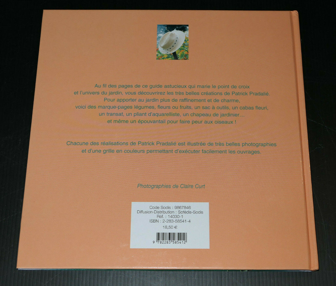 LOT DE 2 LIVRES / BRODERIES INDIENNES / LE POINT DE CROIX & LE JARDIN / LTA DMC