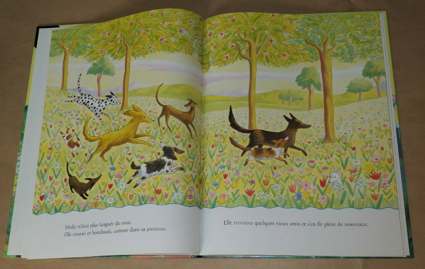 MOLLY AU PARADIS / EMMA CHICHESTER CLARK / GALLIMARD JEUNESSE 2003