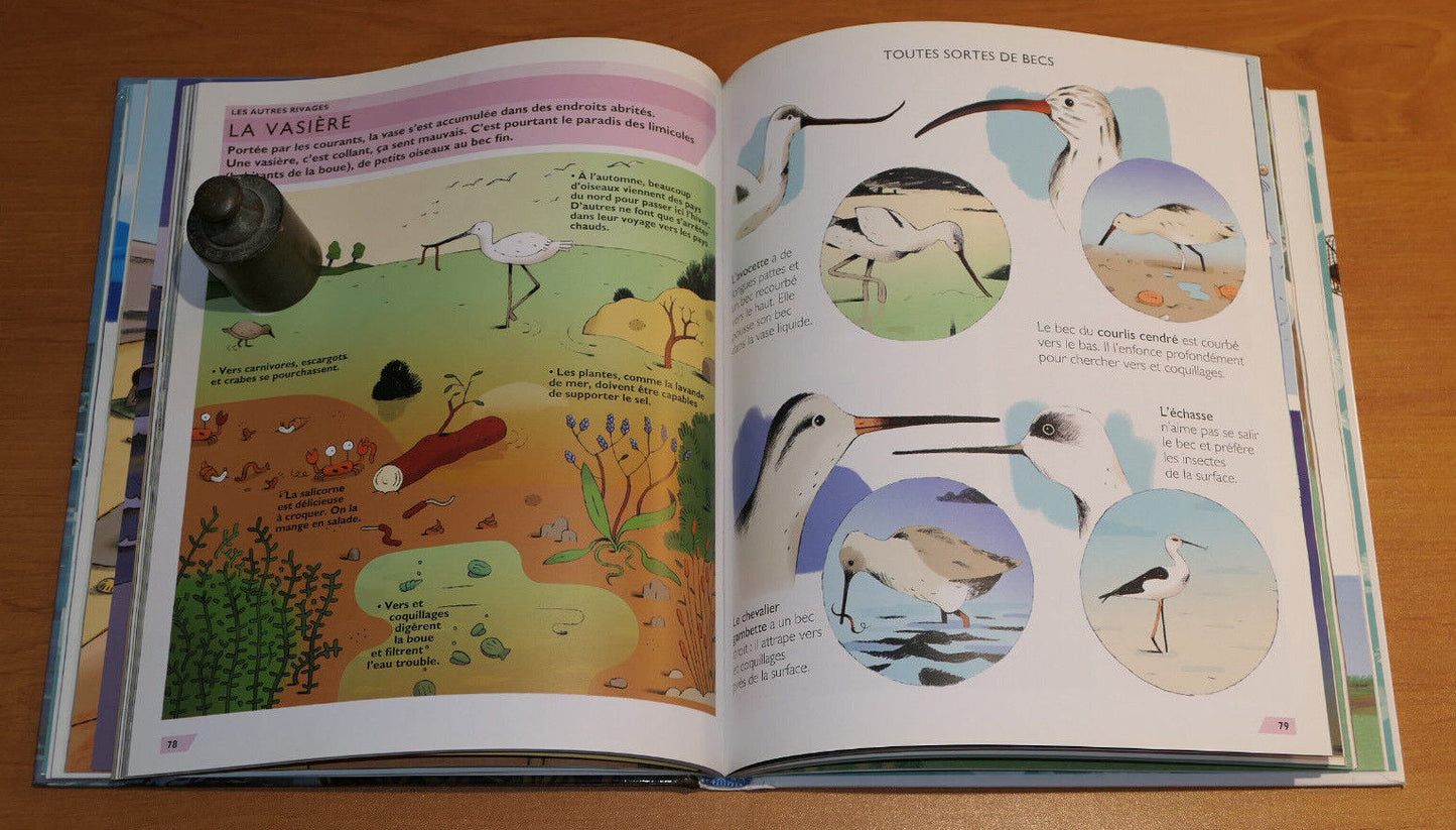 MON PREMIER LAROUSSE A LA MER / 2007 / PLAGE VACANCES VOYAGE