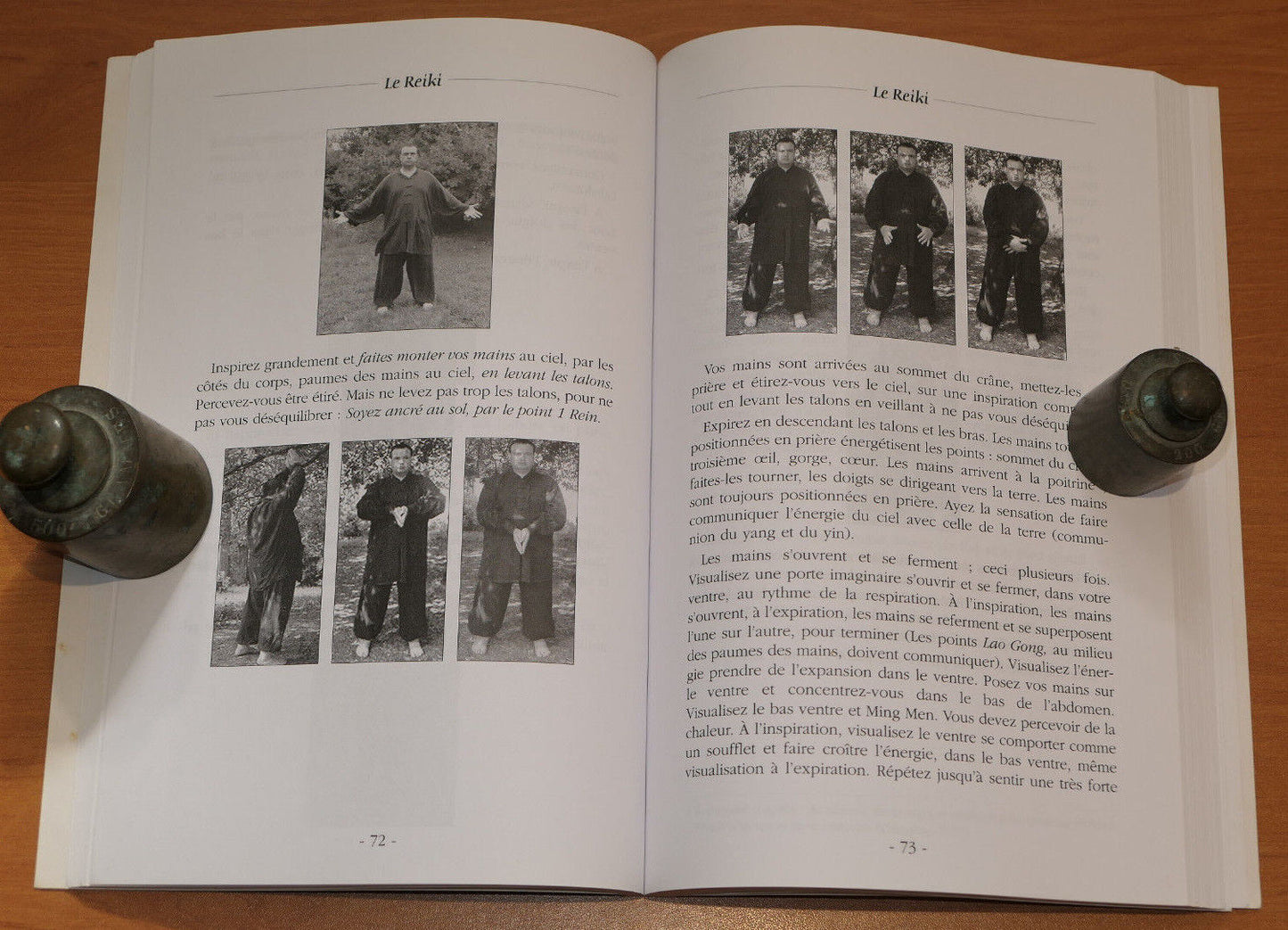 REIKI SANTE LONGEVITE / MICHEL BRUNET / ENERGIE MAGNETISME THERAPIE QI / 2004