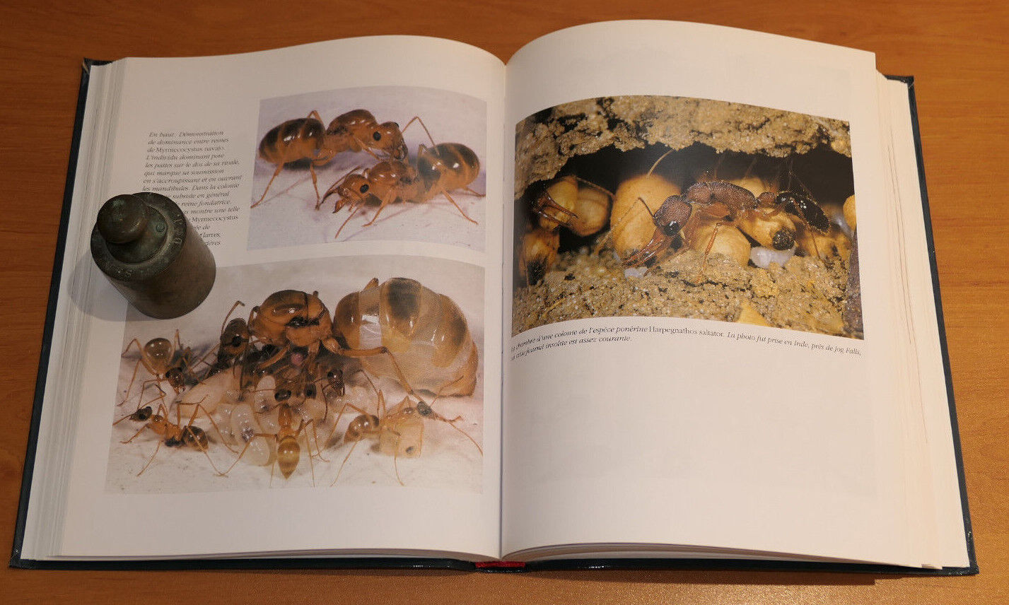 VOYAGE CHEZ LES FOURMIS / ENTOMOLOGIE DECOUVERTE SCIENCE ETUDE / 1996
