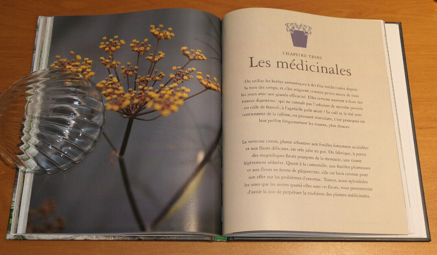 CULTURE BIO / YSE 2017 / JARDIN PLANTES AROMATIQUES POTAGER GUIDE METHODE