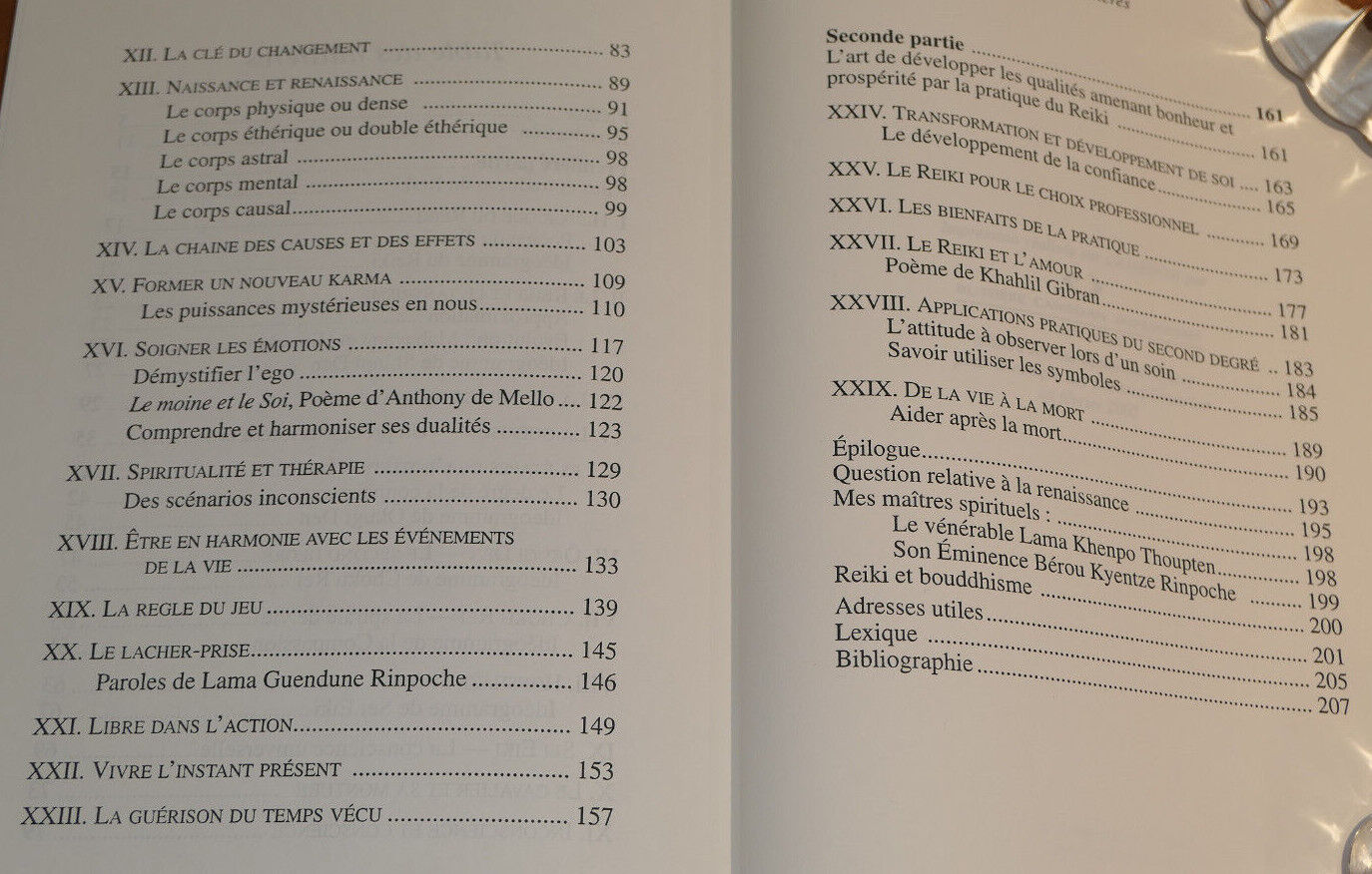 L'ALCHIMIE DU REIKI / PAUL WAGNER / ENERGIE CONSCIENCE DEVELOPPEMENT PERSONNEL