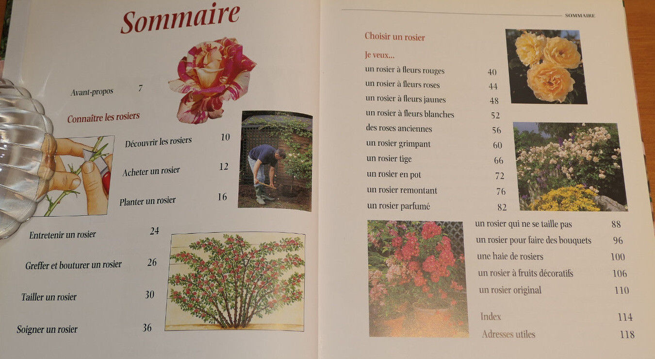 JE VEUX UN ROSIER / RUSTICA EDITIONS 2000 / FLEURS ROSES JARDIN GUIDE PHOTOS