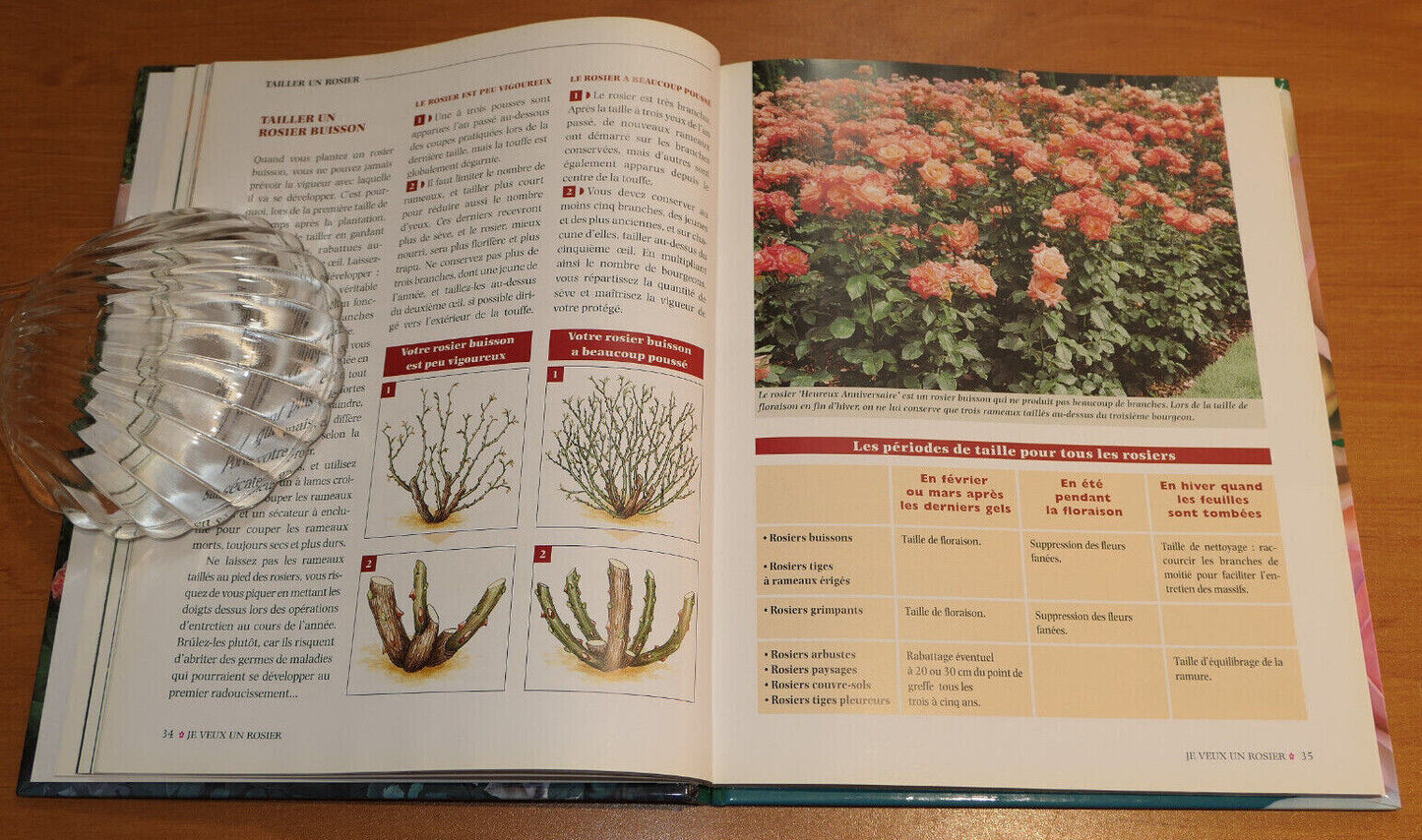 JE VEUX UN ROSIER / RUSTICA EDITIONS 2000 / FLEURS ROSES JARDIN GUIDE PHOTOS