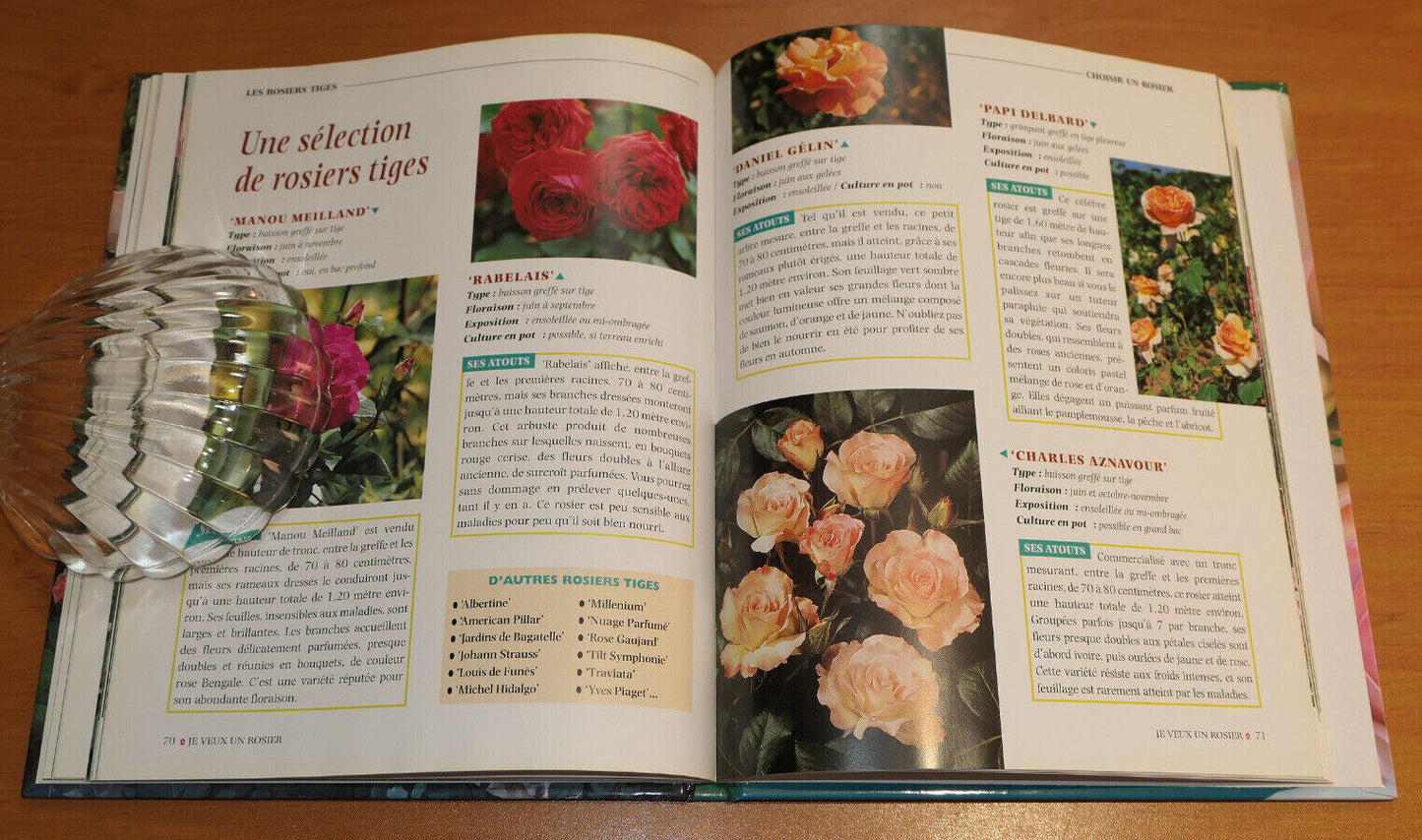 JE VEUX UN ROSIER / RUSTICA EDITIONS 2000 / FLEURS ROSES JARDIN GUIDE PHOTOS