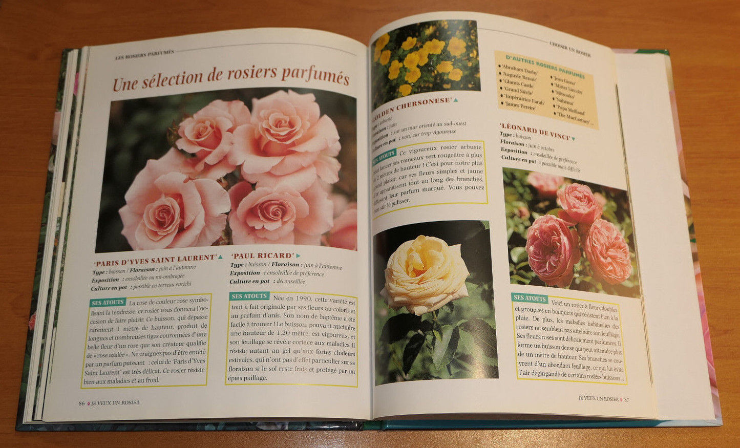 JE VEUX UN ROSIER / RUSTICA EDITIONS 2000 / FLEURS ROSES JARDIN GUIDE PHOTOS