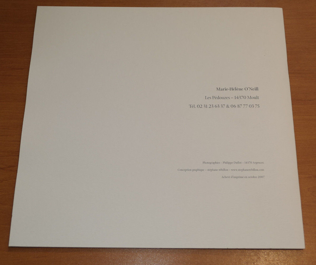 MARIE-HELENE O'NEILL / MICHEL DEL CASTILLO / ART PEINTURE TEXTES / 2007
