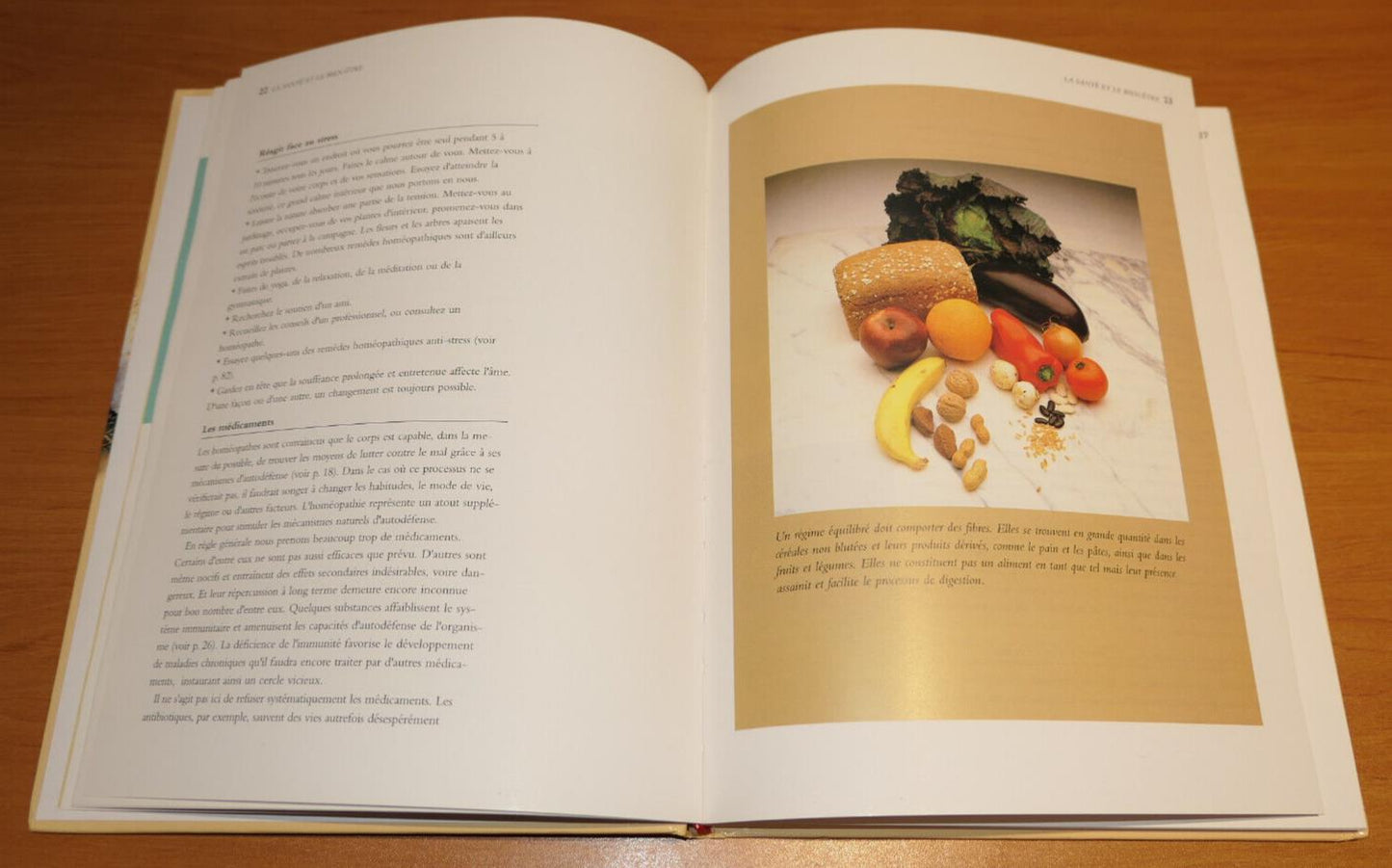 HOMEOPATHIE LE GUIDE PRATIQUE DE LA SANTE AU QUOTIDIEN / ROBIN HAYFIELD / 1995