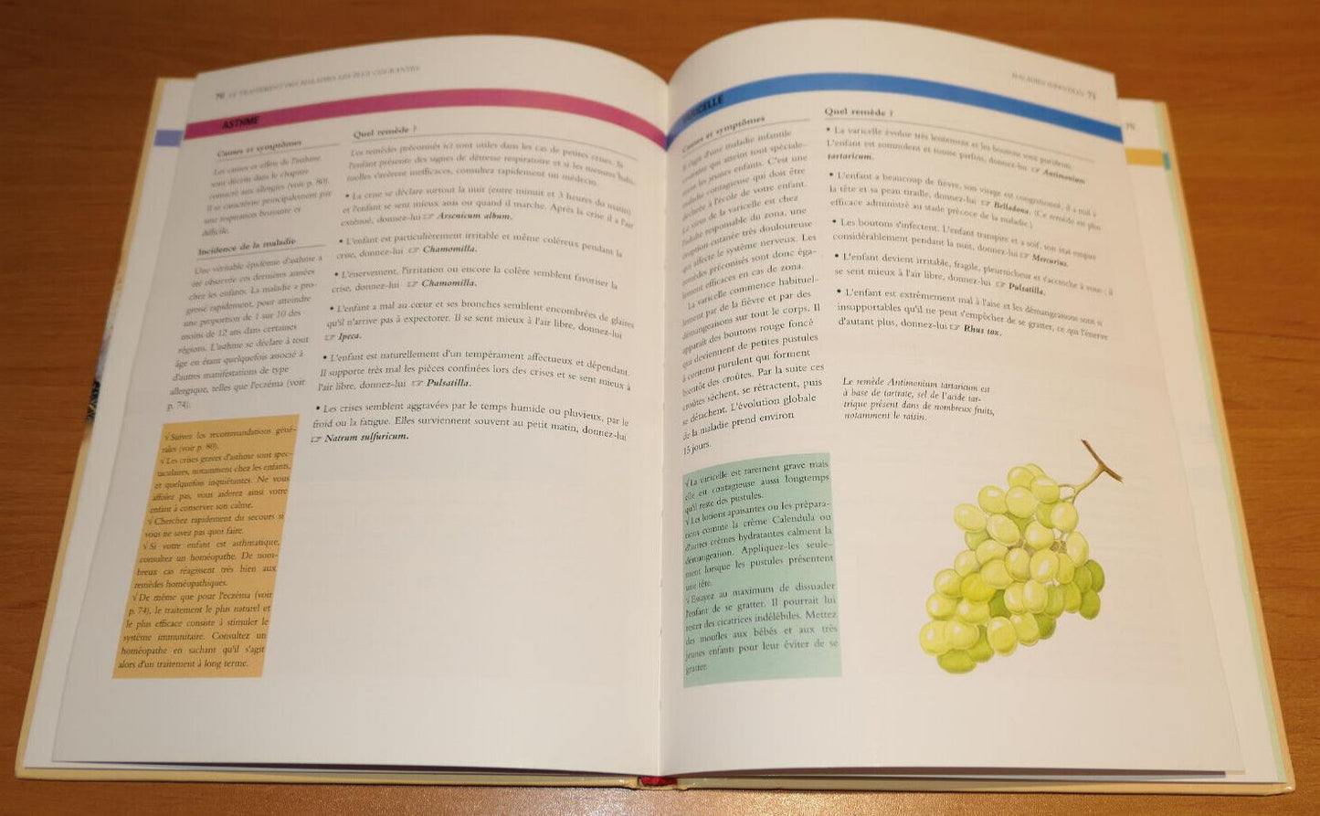 HOMEOPATHIE LE GUIDE PRATIQUE DE LA SANTE AU QUOTIDIEN / ROBIN HAYFIELD / 1995