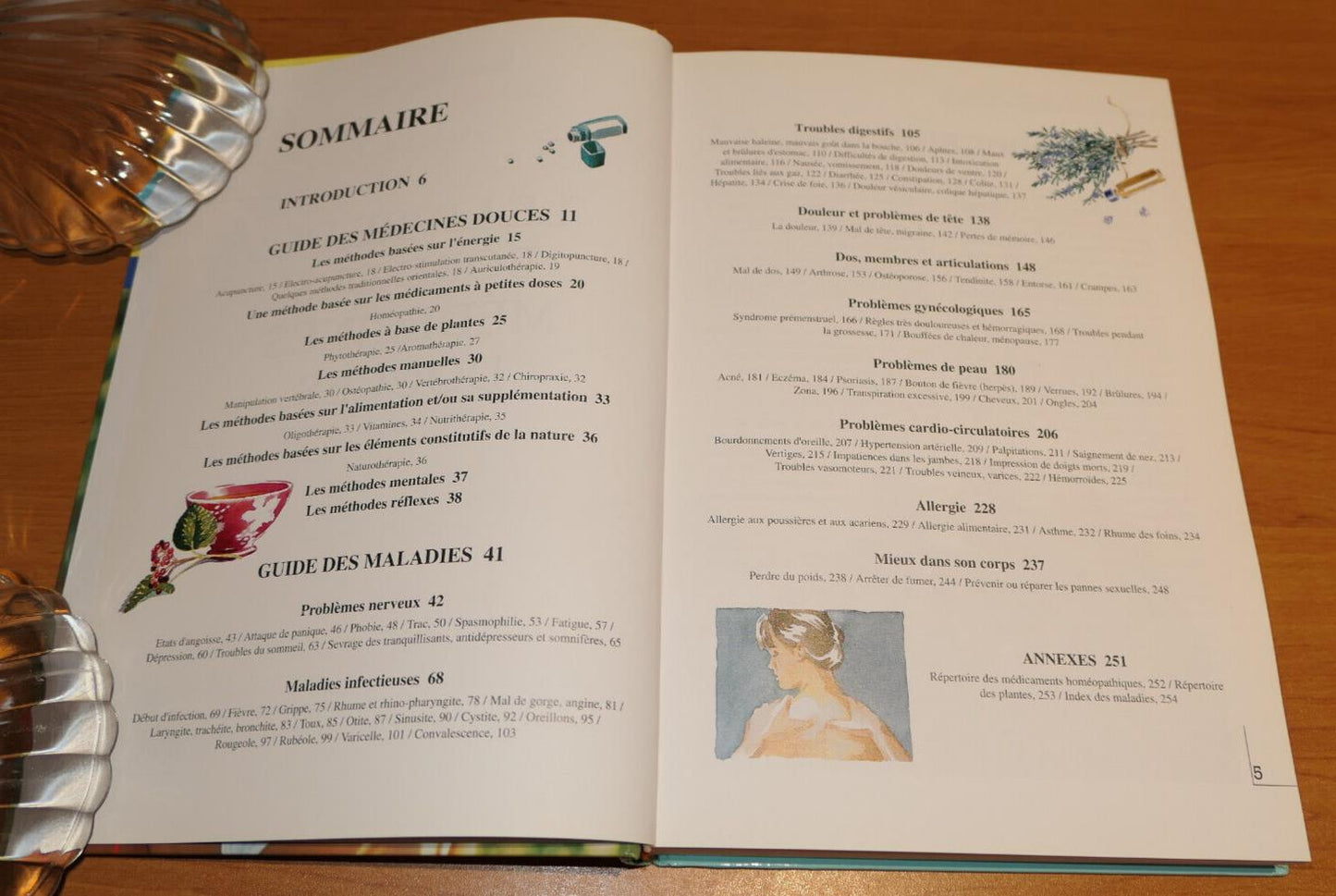 LE LIVRE DE BORD DES MEDECINES DOUCES / DR SERGE RAFAL / MARABOUT 1999 / SANTE