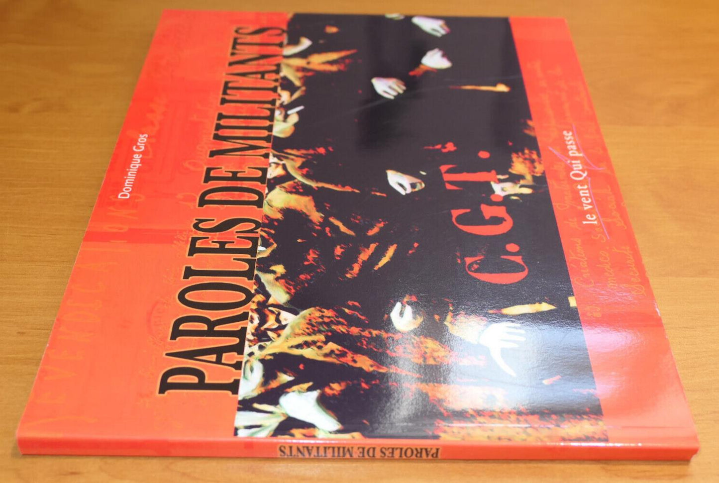 CGT PAROLES DE MILITANTS / DOMINIQUE GROS / LE VENT QUI PASSE 2008 SYNDICALISME