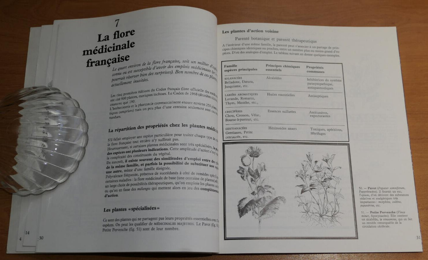 LES SIMPLES ENTRE NATURE ET SOCIETE HISTOIRE DES PLANTES MEDICINALES FRANCAISES