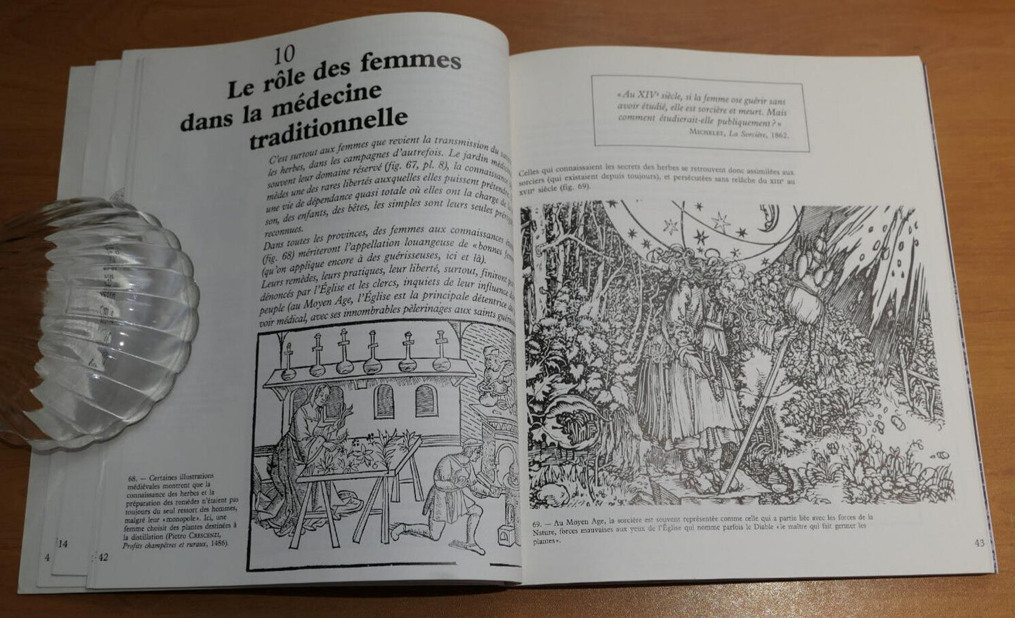 LES SIMPLES ENTRE NATURE ET SOCIETE HISTOIRE DES PLANTES MEDICINALES FRANCAISES