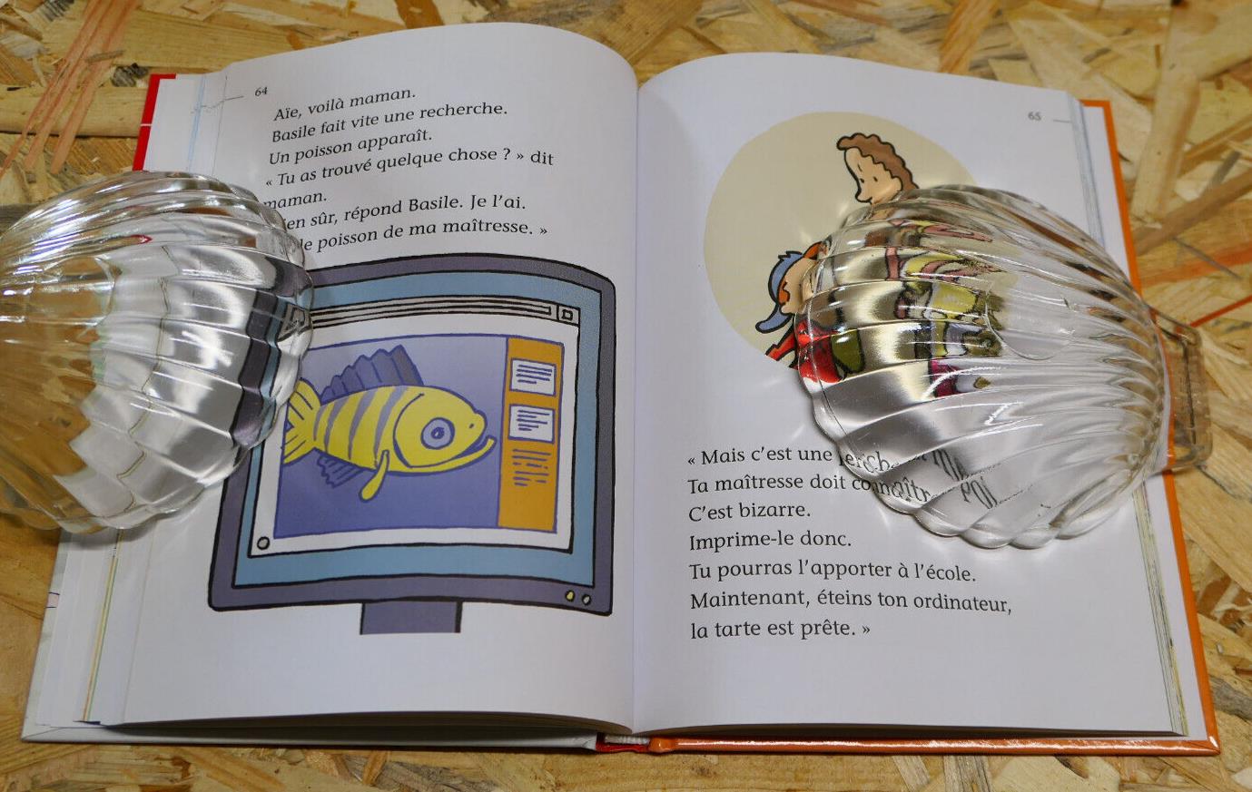 JE LIS TOUT SEUL / CHANTECLER APPRENTISSAGE LECTURE ECOLE CP PRIMAIRE