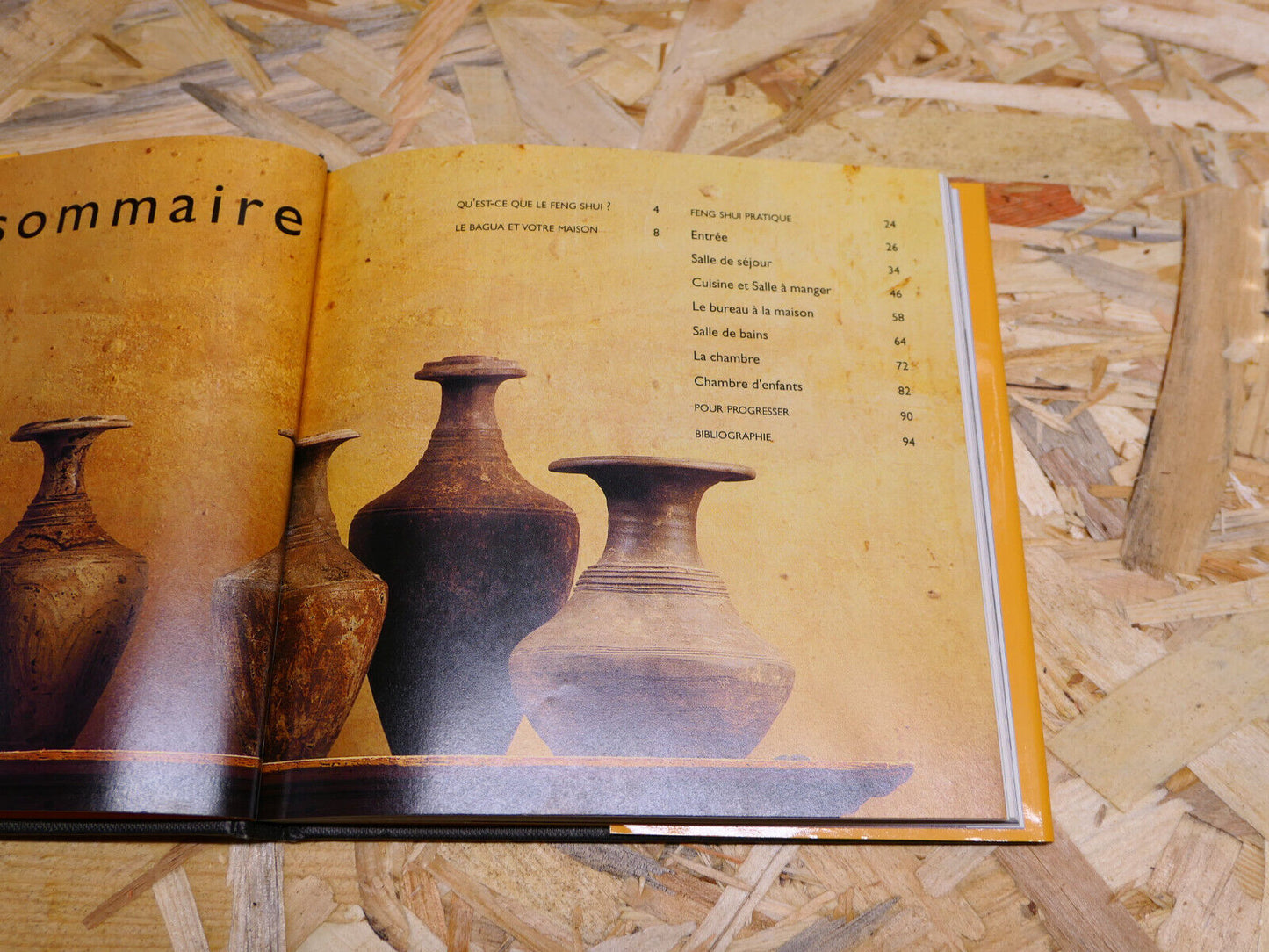 FENG SHUI SIMPLE / EQUILIBRE BIEN-ETRE HARMONIE HABITATION DECORATION