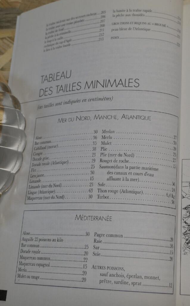 TOUTES LES PECHES EN MER / GUIDE PRATIQUE MANUEL ASTUCES 300 DESSINS TECHNIQUES
