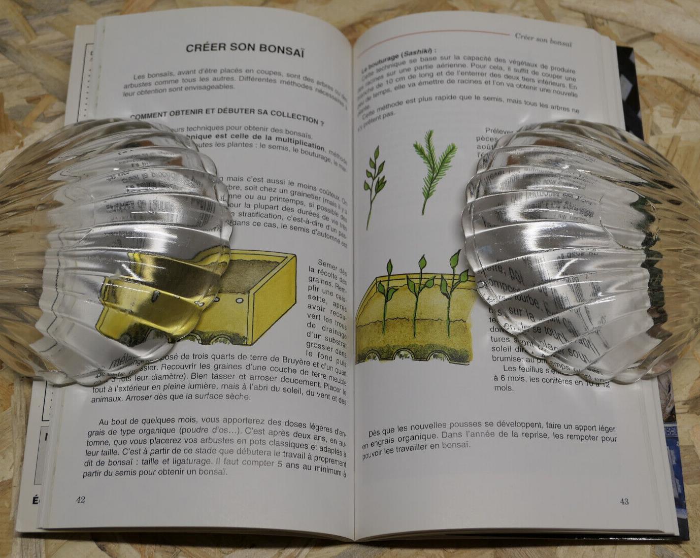 ACHETER CREER ENTRETENIR SON BONSAI / ARBRE NATURE CONSEILS PRATIQUES / 1998