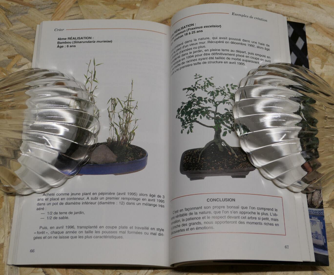ACHETER CREER ENTRETENIR SON BONSAI / ARBRE NATURE CONSEILS PRATIQUES / 1998