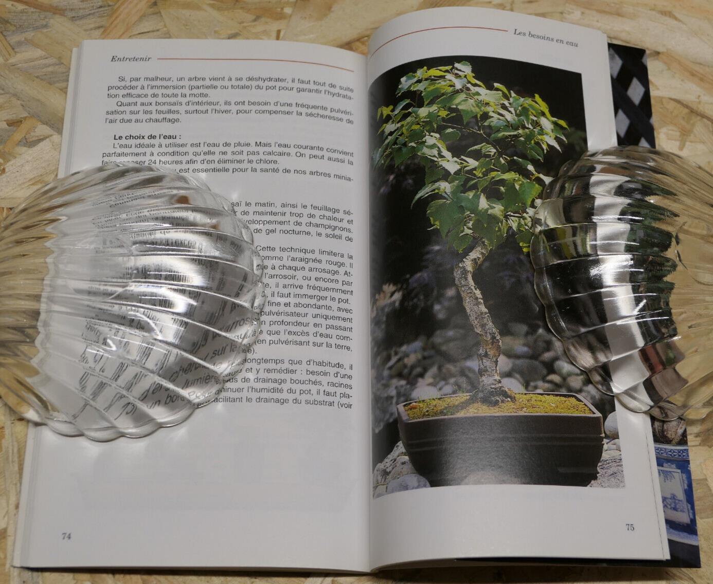 ACHETER CREER ENTRETENIR SON BONSAI / ARBRE NATURE CONSEILS PRATIQUES / 1998