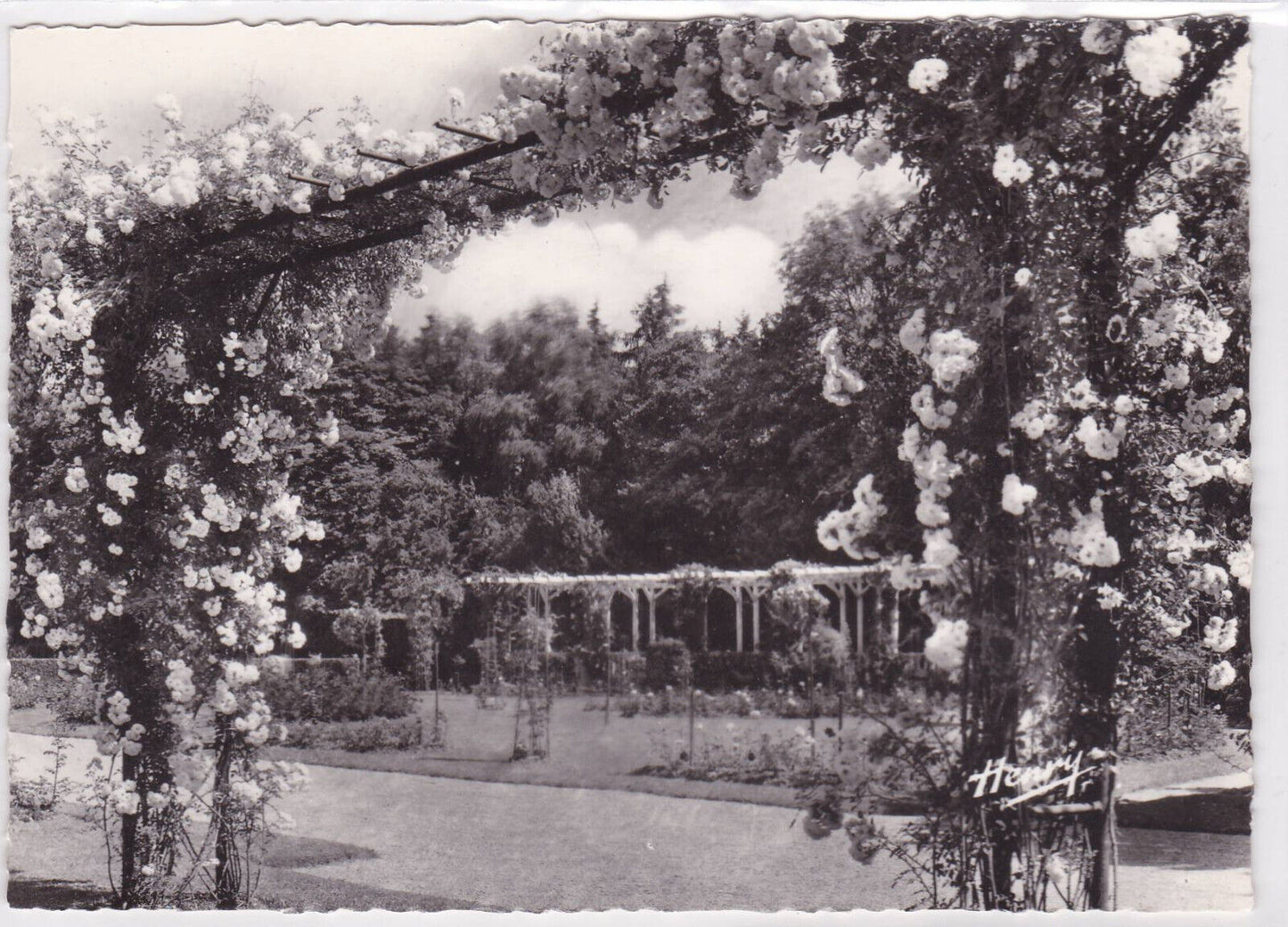 CARTE POSTALE CPSM VITTEL LA ROSERAIE