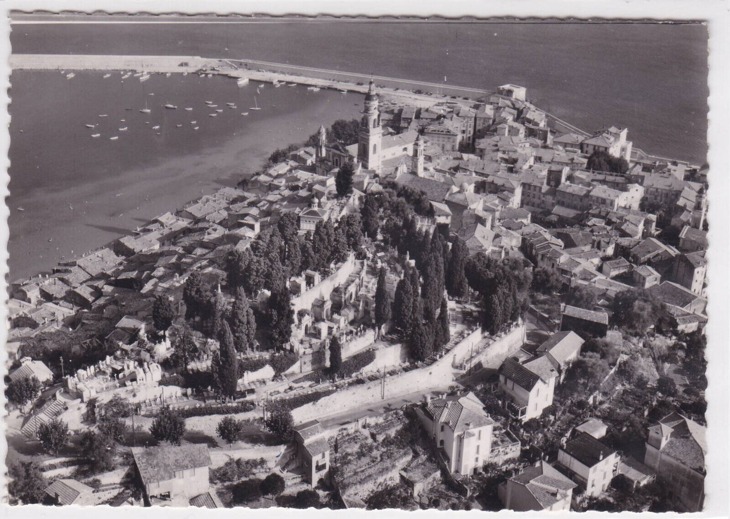 POSTCARD CPSM MENTON THE PORT AND THE OLD TOWN LAYERS CEMETERY