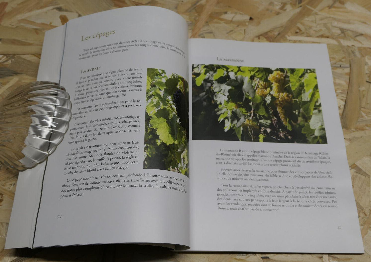 HERMITAGE & CROZES-HERMITAGE TERROIRS DE PASSIONS VIN AOC VITICULTURE 2013