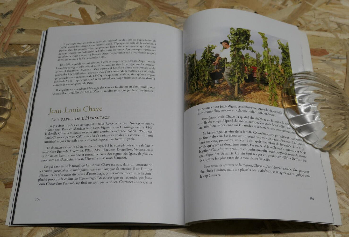 HERMITAGE & CROZES-HERMITAGE TERROIRS DE PASSIONS VIN AOC VITICULTURE 2013