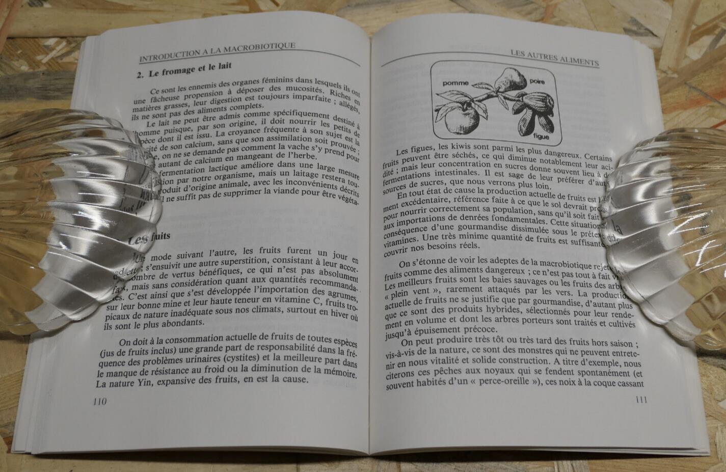 INTRODUCTION A LA MACROBIOTIQUE / PHILOSOPHIE ET PRINCIPES ALIMENTS CUISINE 1985