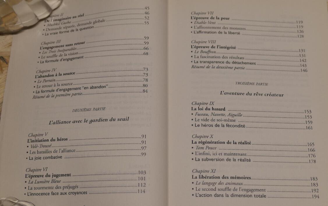 LA SYNCHRONICITE PAR LES CONTES / JEAN-PASCAL DEBAILLEUL / THERAPIE 2003