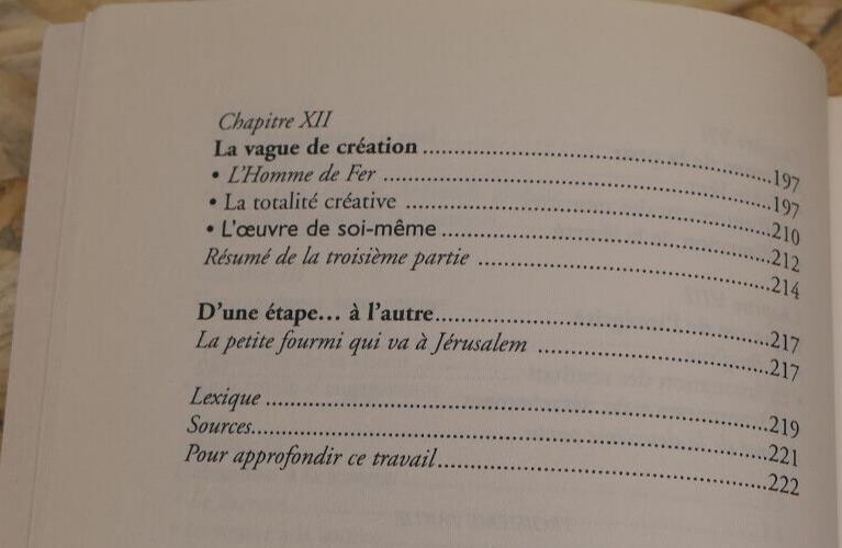 LA SYNCHRONICITE PAR LES CONTES / JEAN-PASCAL DEBAILLEUL / THERAPIE 2003