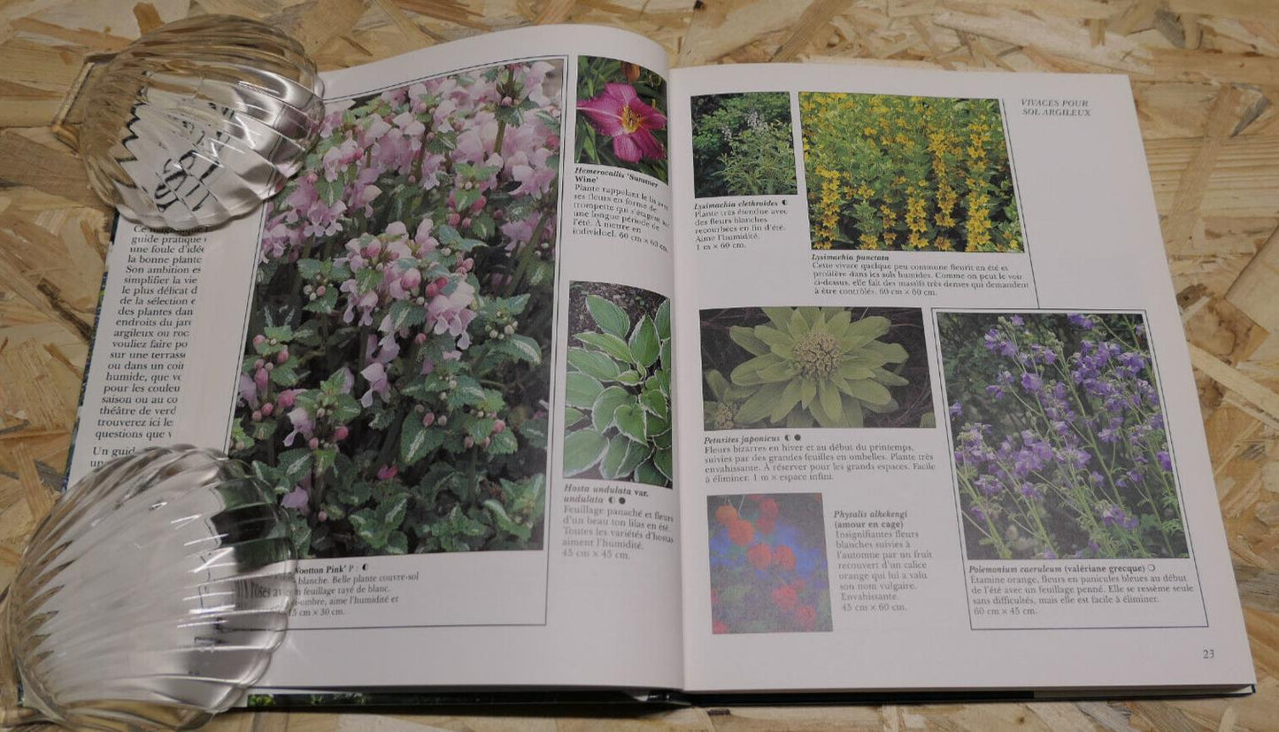 AU JARDIN OU ET COMMENT PLANTER ? FRANCES WELLAND GUIDE PRATIQUE 1000 PLANTES