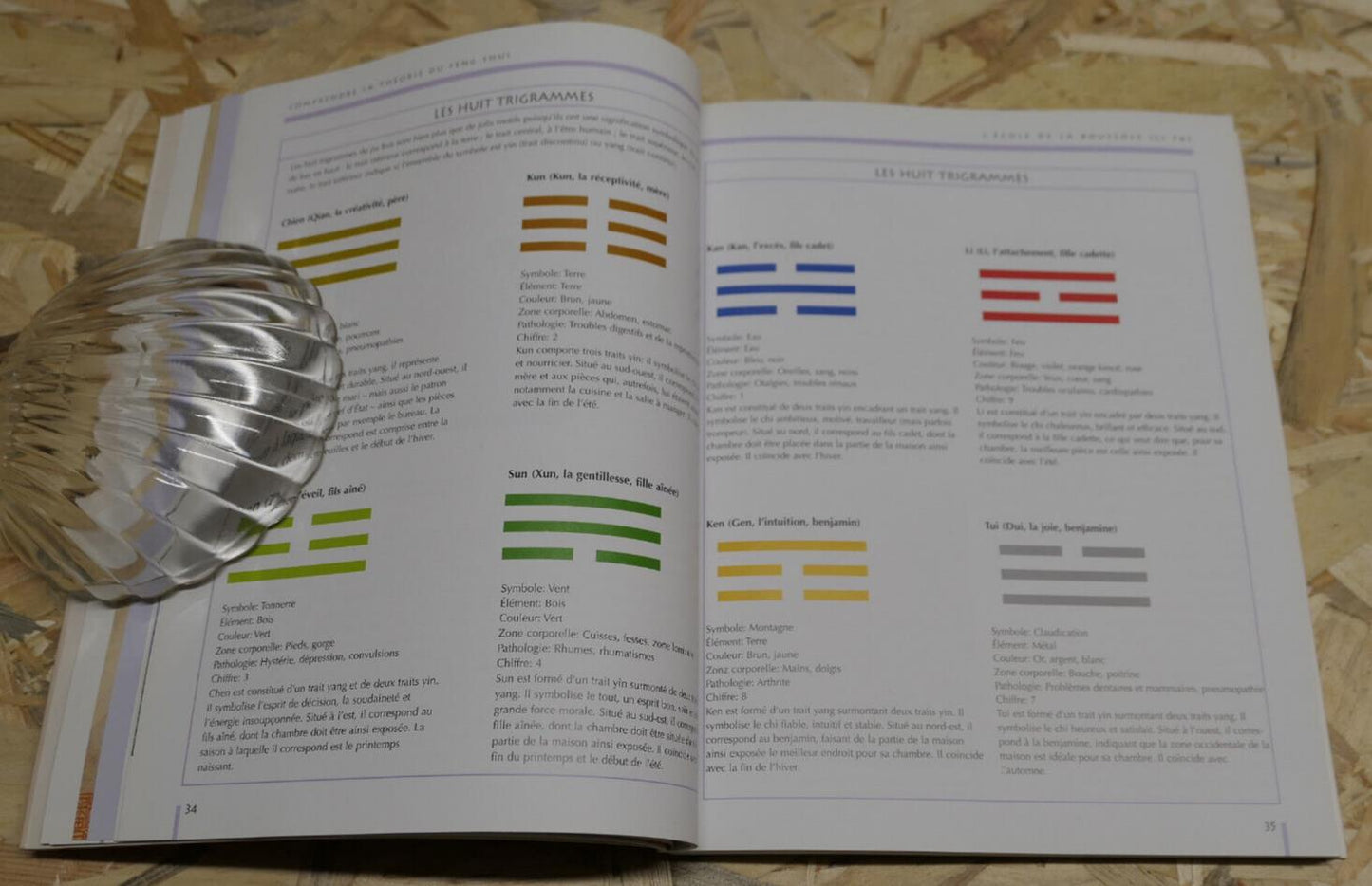 FENG SHUI / ZAIHONG SHEN / GUIDE PRATIQUE HARMONIE ENERGIE DECORATION PHOTOS