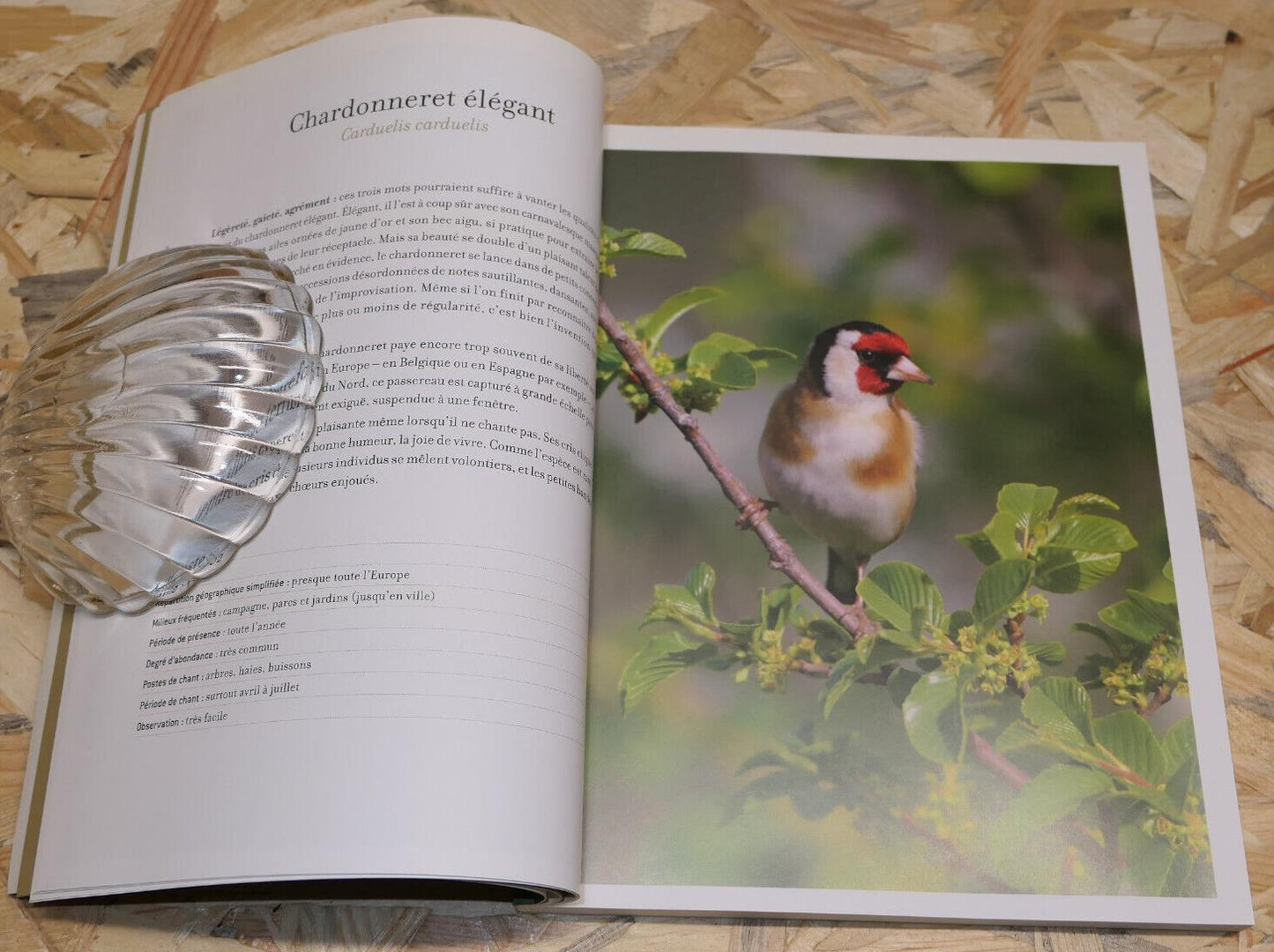 LIVRE CD MAITRES CHANTEURS / LPO CHANTS OISEAUX PHOTOS ORNITHOLOGIE NATURE