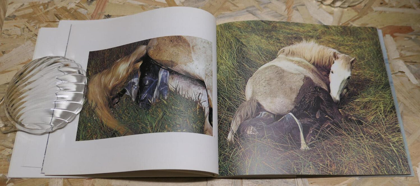 CHEVAUX DE CAMARGUE / HANS SILVESTER / PHOTO CHEVAL NATURE PAYSAGES / 1979
