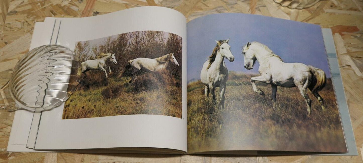 CHEVAUX DE CAMARGUE / HANS SILVESTER / PHOTO CHEVAL NATURE PAYSAGES / 1979
