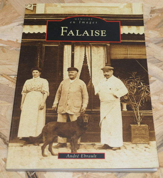 FALAISE MEMOIRE EN IMAGES PHOTOS CARTES POSTALES HISTOIRE PATRIMOINE / 1997