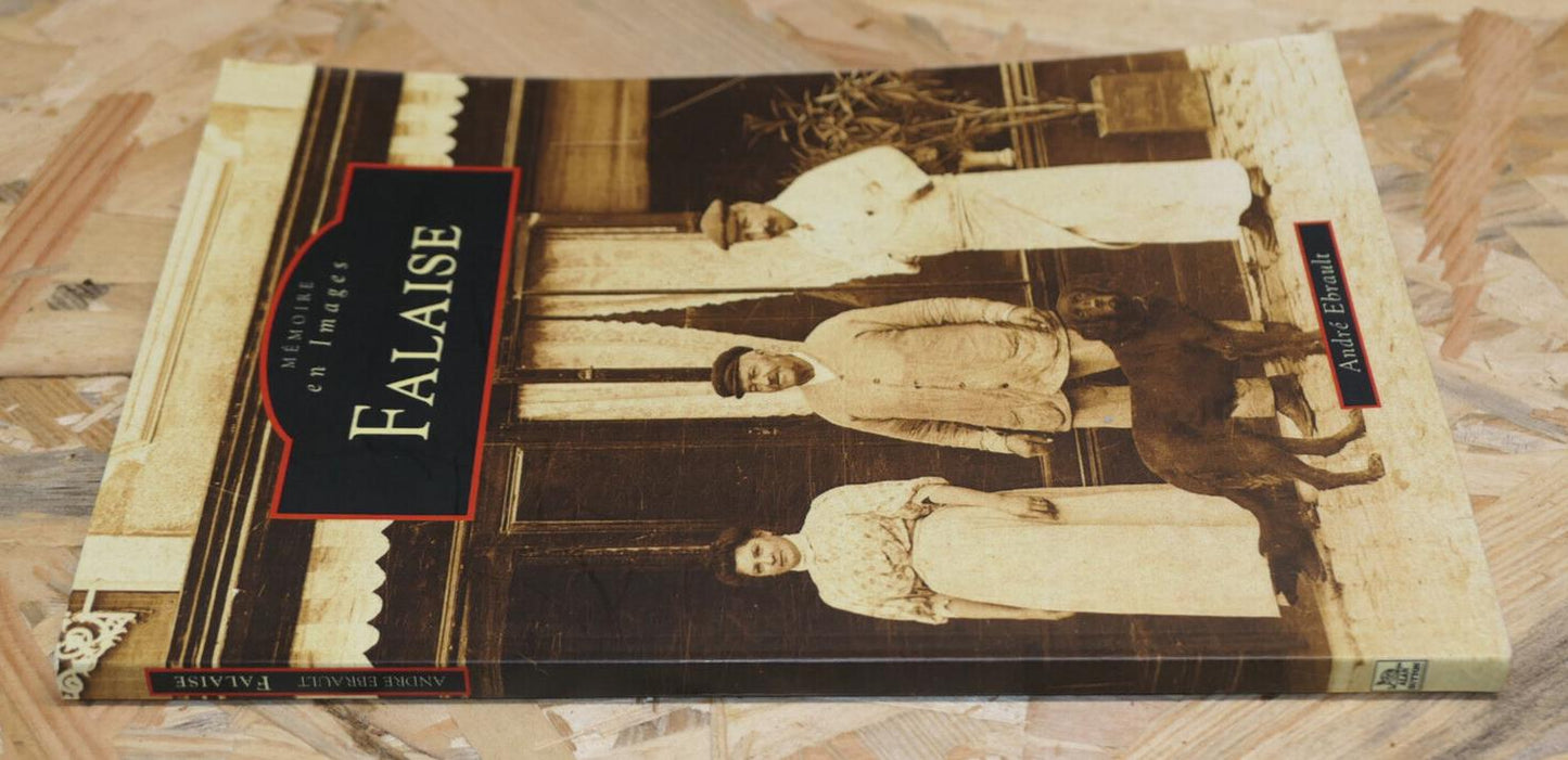 FALAISE MEMOIRE EN IMAGES PHOTOS CARTES POSTALES HISTOIRE PATRIMOINE / 1997