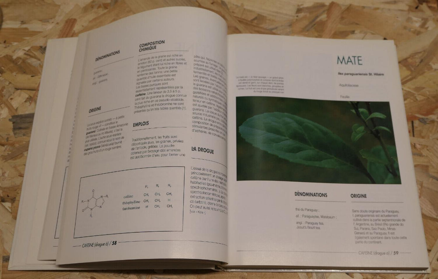 100 PLANTES MEDICINALES / MAX ROMBI / PHYTOTHERAPIE BOTANIQUE PHOTOS / 1991