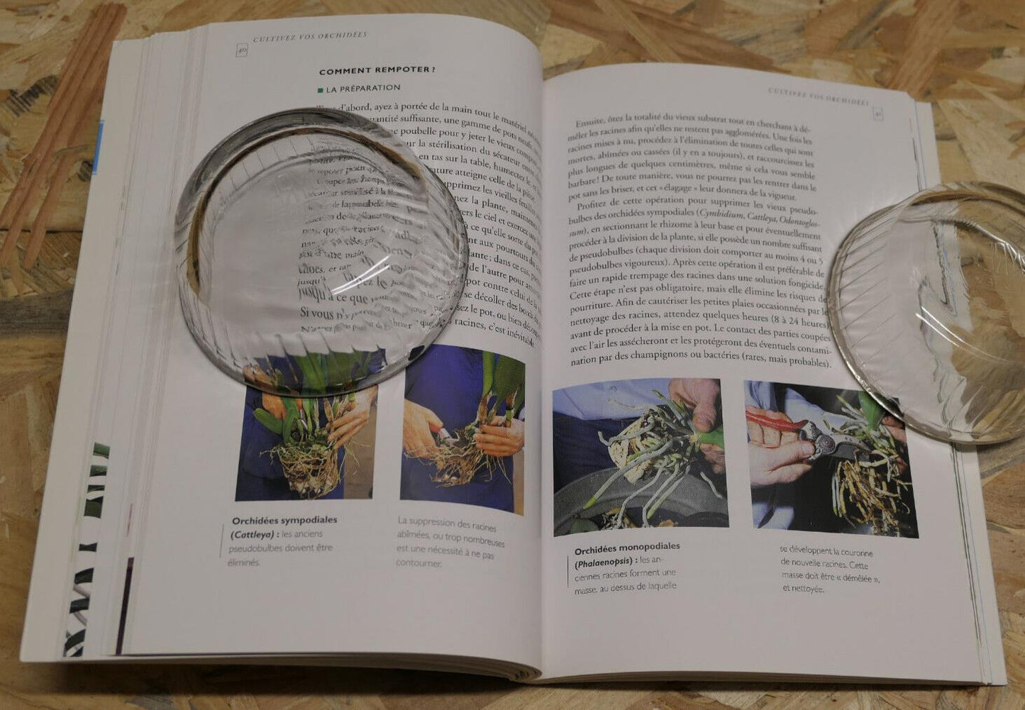 ORCHIDEES COMMENT LES CULTIVER ET LES FAIRE FLEURIR BOTANIQUE FLEURS GUIDE 2001