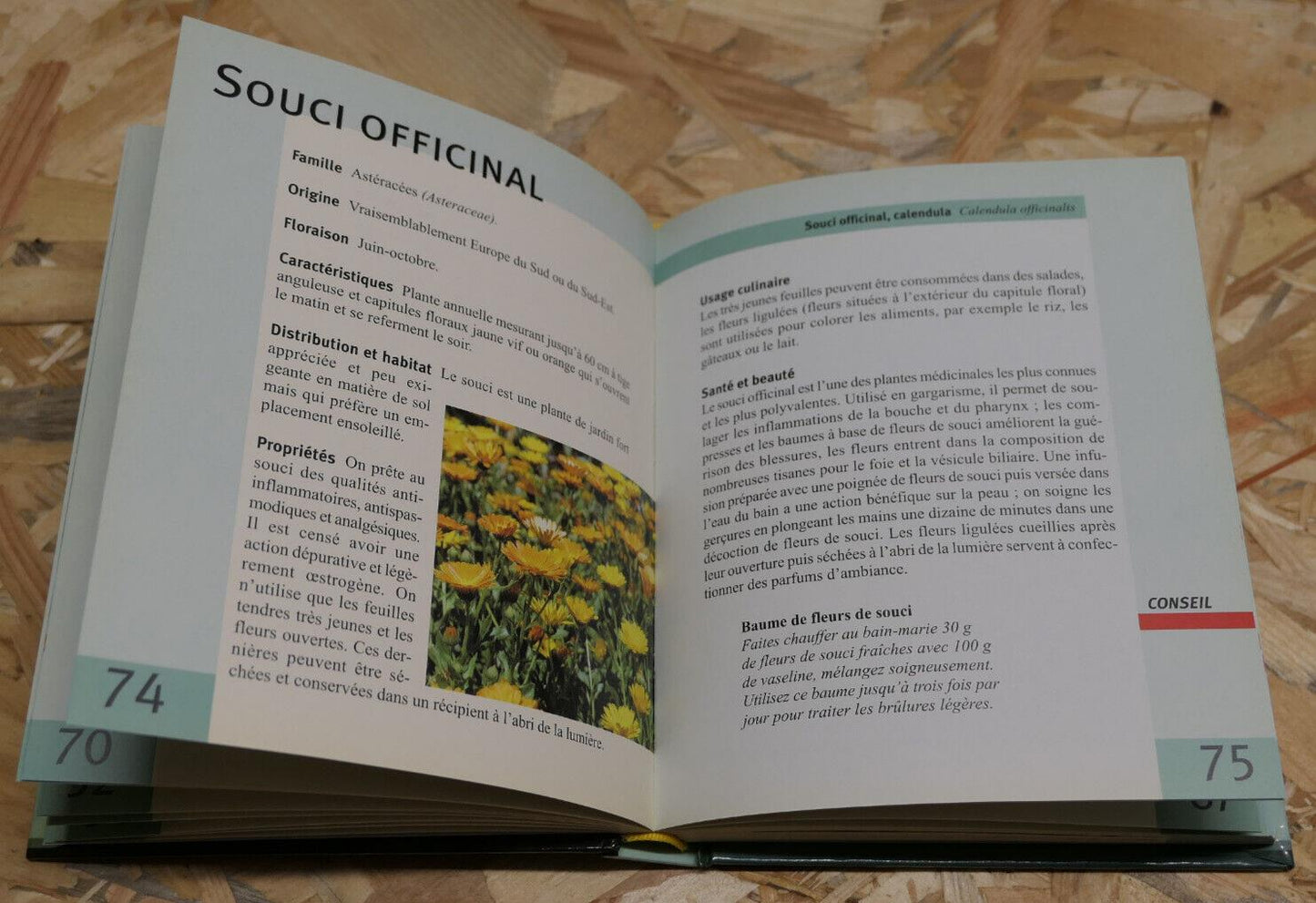 LEXIGUIDE DES HERBES ET PLANTES AROMATIQUES / BOTANIQUE CONSEILS RECETTES / 2007
