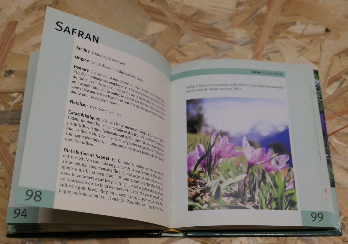 LEXIGUIDE DES HERBES ET PLANTES AROMATIQUES / BOTANIQUE CONSEILS RECETTES / 2007