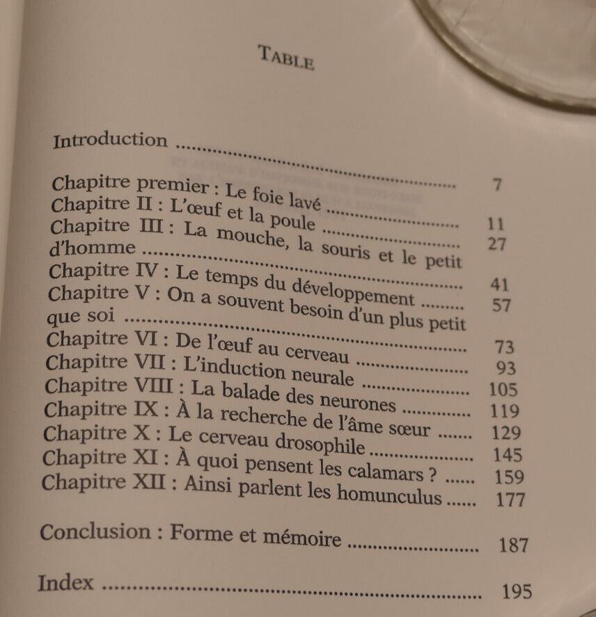 LES ANATOMIES DE LA PENSEE A QUOI PENSENT LES CALAMARS / ALAIN PROCHIANTZ / 1997